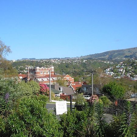 Bed and Breakfast Arden Street House Dunedin Zewnętrze zdjęcie