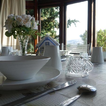 Bed and Breakfast Arden Street House Dunedin Zewnętrze zdjęcie