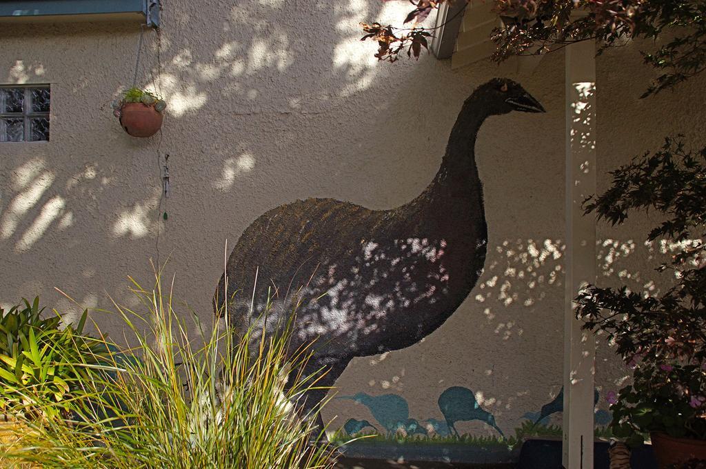 Bed and Breakfast Arden Street House Dunedin Zewnętrze zdjęcie