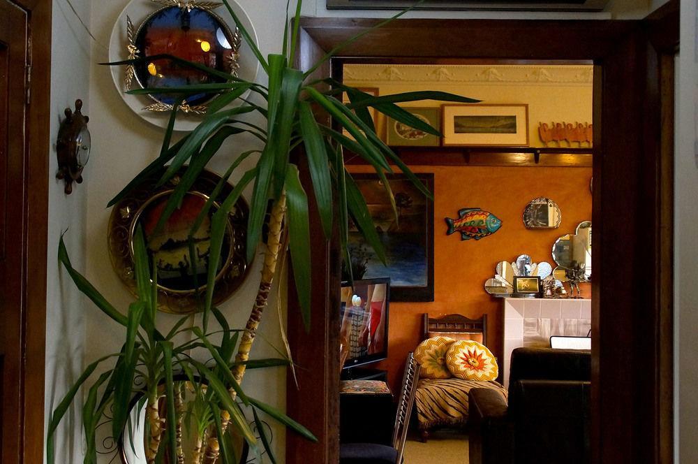 Bed and Breakfast Arden Street House Dunedin Zewnętrze zdjęcie