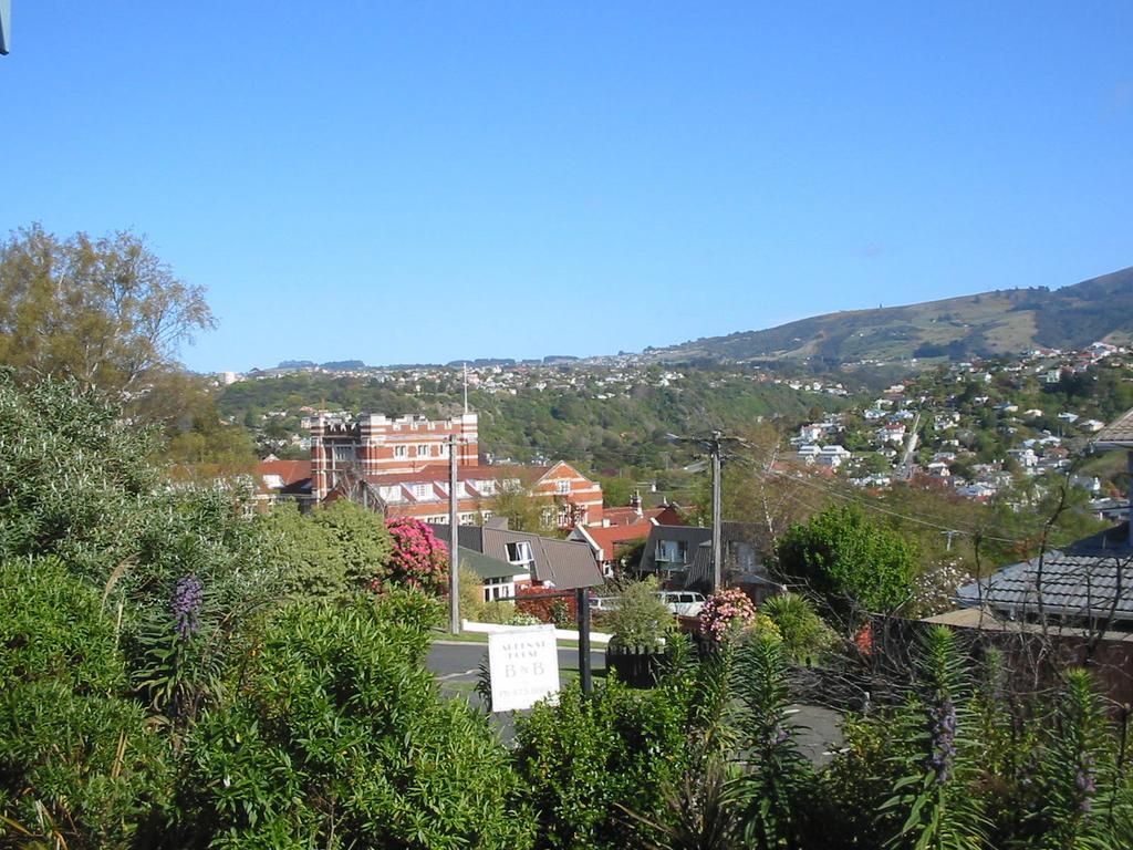 Bed and Breakfast Arden Street House Dunedin Zewnętrze zdjęcie