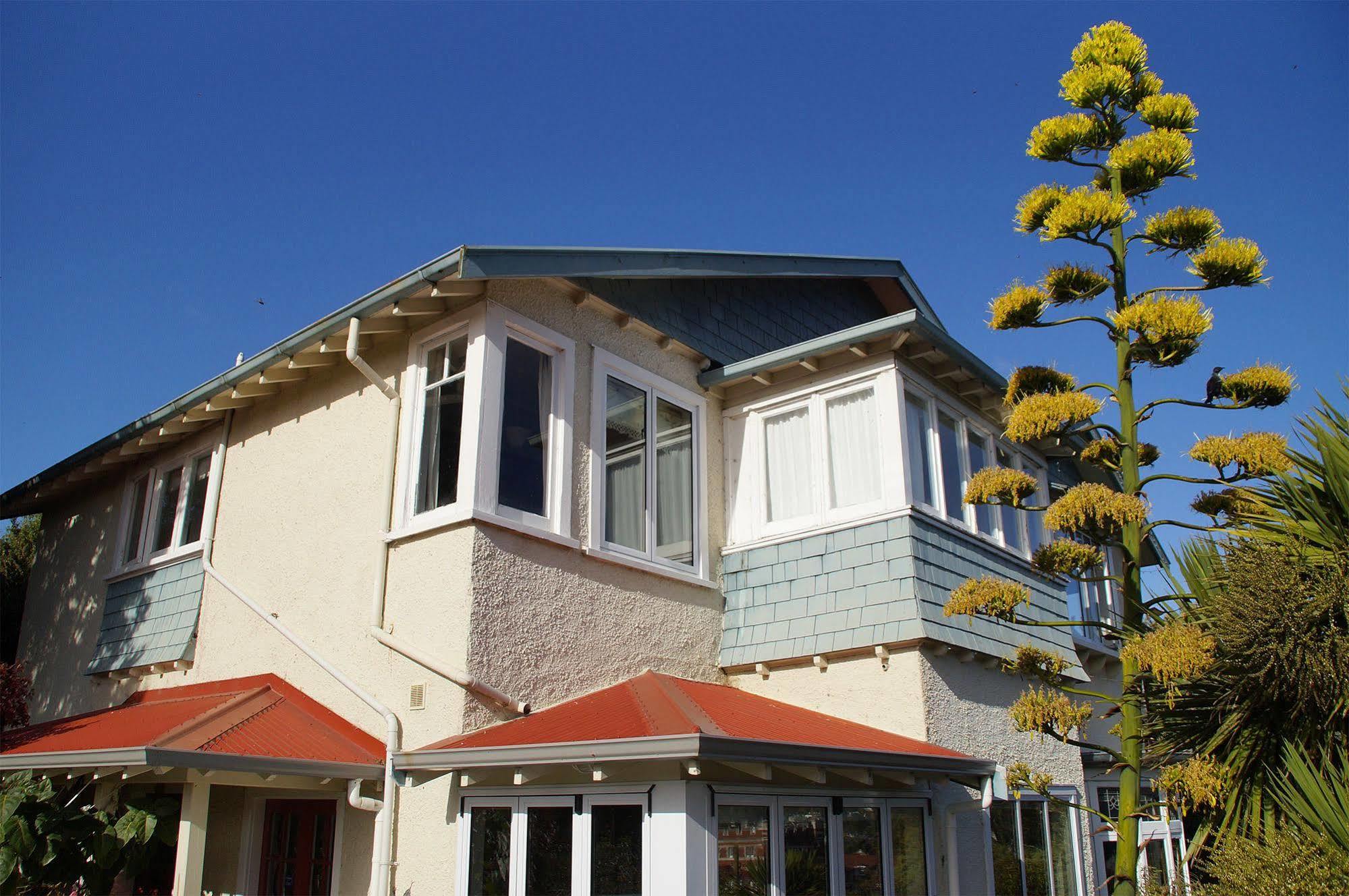 Bed and Breakfast Arden Street House Dunedin Zewnętrze zdjęcie