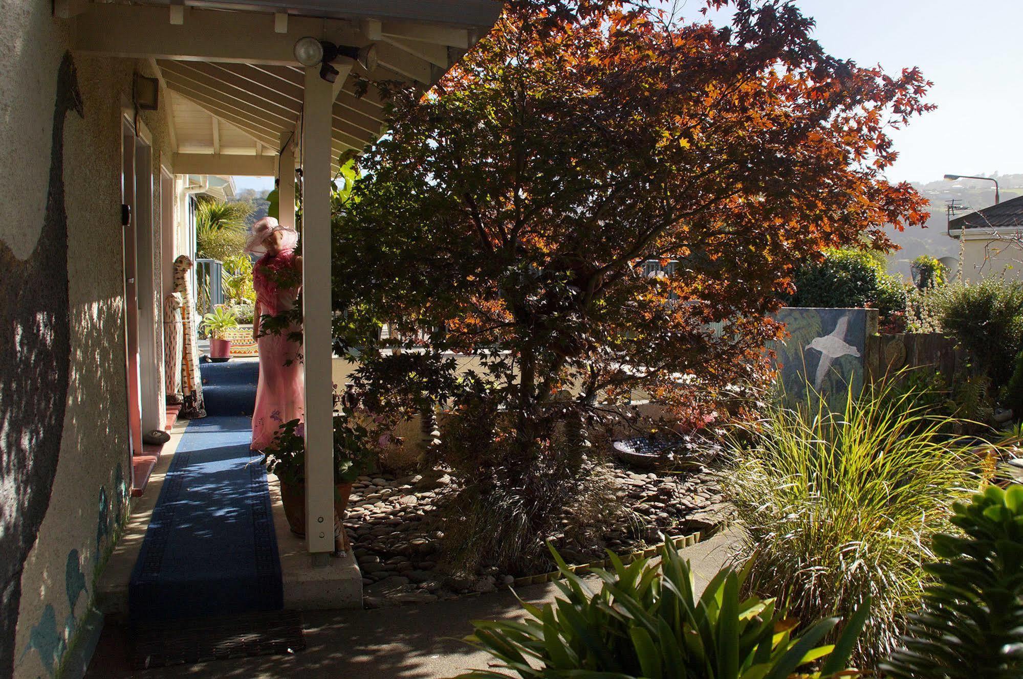 Bed and Breakfast Arden Street House Dunedin Zewnętrze zdjęcie